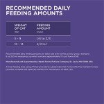 Purina ONE Hairball Control Dry Cat Food