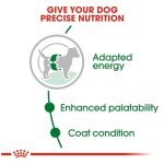 Royal Canin Mini Adult Dry Dog Food 2.5 lbs