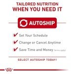 Royal Canin Mini Adult Dry Dog Food 2.5 lbs