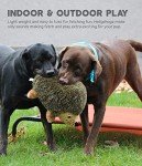 Outward Hound XL Large Hedgehog Dog Toy