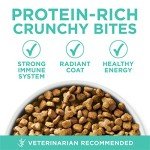 Sensitive Cat Food for Happy Tummies