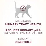 Purina ONE Urinary Health Dry Cat Food, 16lb