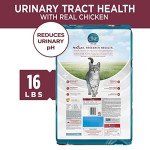 Purina ONE Urinary Health Dry Cat Food, 16lb
