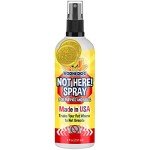 Not Here! Training Spray for Pet Behavior