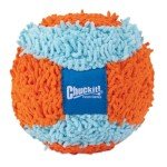 Chuckit Dog Ball for Fetch and Play