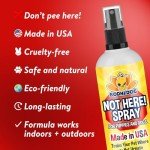 Not Here! Training Spray for Pet Behavior