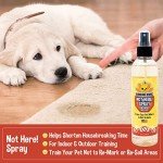 Not Here! Training Spray for Pet Behavior