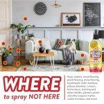 Not Here! Training Spray for Pet Behavior