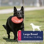 KONG Flyer - Durable Rubber Frisbee for Large Dogs