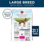 Purina One SmartBlend Natural Food for Large Dogs