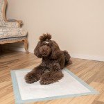 Ultra Absorbent Disposable Puppy Training Pads