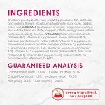 Purina Fancy Feast Pate Wet Food for Cats