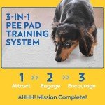 OUT! Heavy Duty XXL Dog Pads - 30 Count