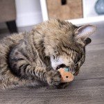 SmartyKat Chickadee Chirp Cat Toy with Catnip