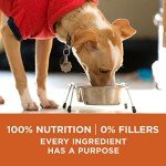 Purina ONE SmartBlend Weight Control Dog Food