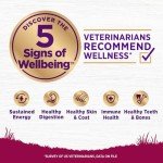 Wellness Small Breed Dry Dog Food - Turkey & Oatmeal