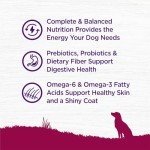 Wellness Small Breed Dry Dog Food - Turkey & Oatmeal