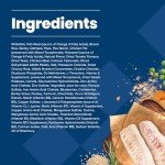 Blue Buffalo Life Protection Adult Dog Food