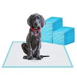 Absorbent Puppy Training Pads for Dogs 61x61 cm
