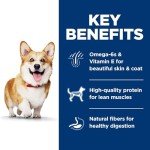 Hill's Science Diet Small Bites Lamb Dog Food