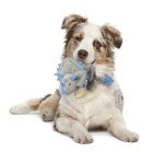 goDog Large Gray Squeaky Plush Dog Toy