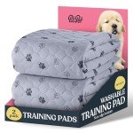 Super Absorbent Washable Dog Pee Pads - 2 Pack