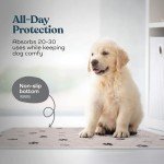 Super Absorbent Washable Dog Pee Pads - 2 Pack