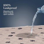 Super Absorbent Washable Dog Pee Pads - 2 Pack