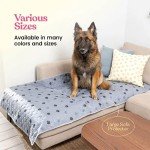 Super Absorbent Washable Dog Pee Pads - 2 Pack