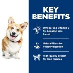 Hill's Science Diet Small Bites Dry Dog Food