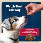 Blue Buffalo Soft-Moist Beef Dog Training Treats