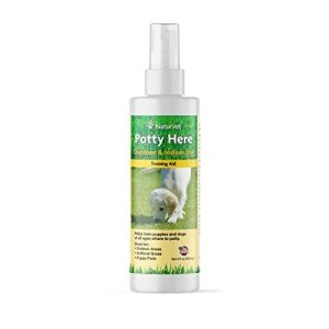 NaturVet Potty Here Training Aid Spray, 8 oz