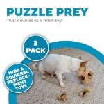 Outward Hound Plush Squeaky Squirrel Dog Toys