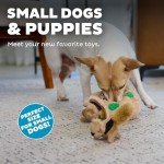 Outward Hound Plush Squeaky Squirrel Dog Toys