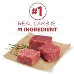 Purina ONE SmartBlend Dry Dog Food