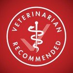 Purina ONE SmartBlend Dry Dog Food