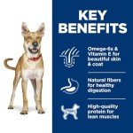 Hill's Science Diet Chicken & Barley Dog Food