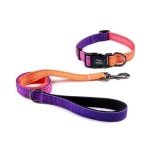Purple Reflective Dog Collar and Leash Set