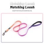 Purple Reflective Dog Collar and Leash Set