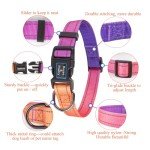 Purple Reflective Dog Collar and Leash Set