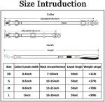 Purple Reflective Dog Collar and Leash Set