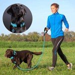 Ladoogo Adjustable Reflective Neoprene Dog Collar & Leash