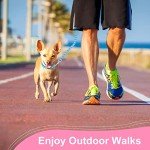 Dog Collar and Leash Set for Puppies