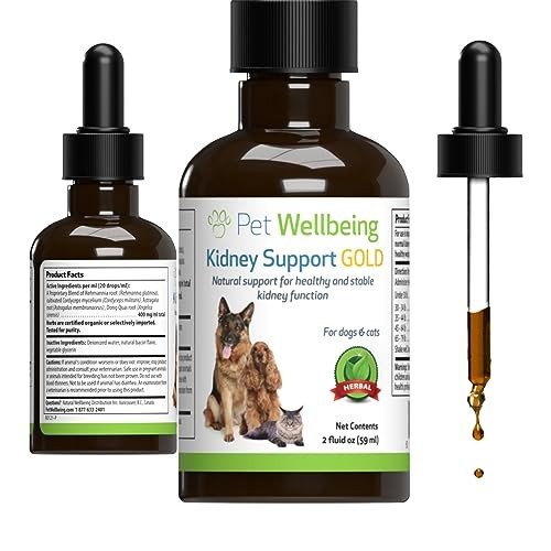 Health and Wellness