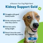 Kidney Support Gold for Dogs - Herbal Supplement