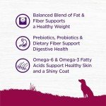 Wellness Complete Health Small Breed Dog Food