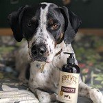 Hemp Well Omegas Oil for Dogs and Cats