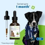 Kidney Support Gold for Dogs - Herbal Supplement
