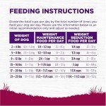 Wellness Complete Health Small Breed Dog Food