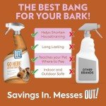 OUT! Pet Care Attractant Spray for Pets, 32 oz